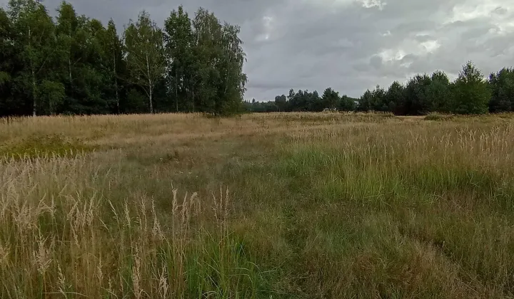 Działka budowlana Czeszewo, ul. Cmentarna