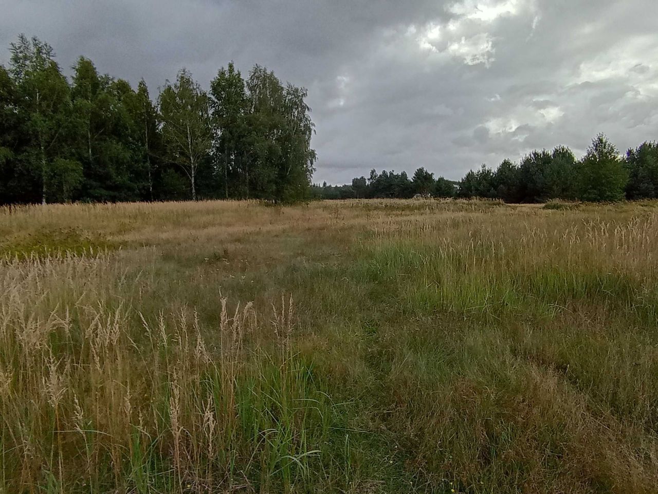 Działka budowlana Czeszewo, ul. Cmentarna. Zdjęcie 1
