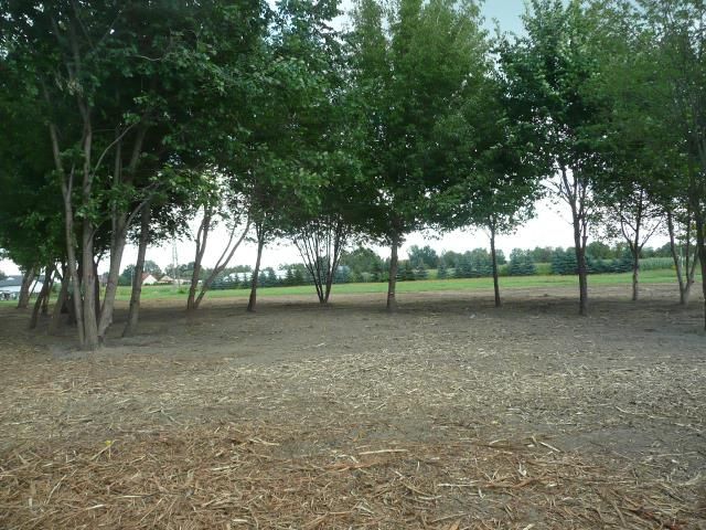 Działka budowlana Błonie. Zdjęcie 4