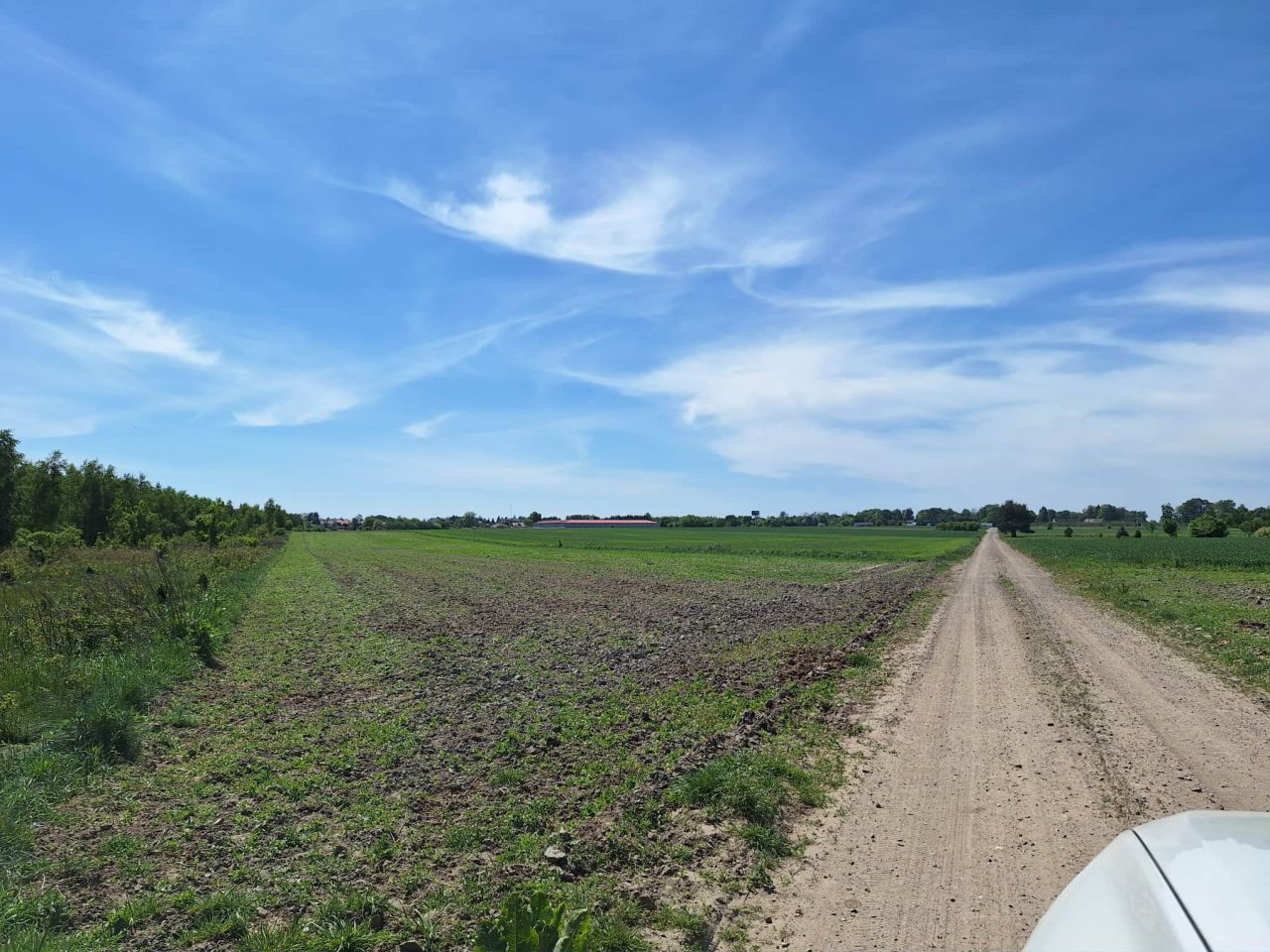 Działka rolno-budowlana Kroczewo. Zdjęcie 3