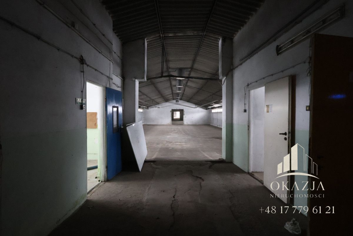 Lokal Wysoka Głogowska. Zdjęcie 12