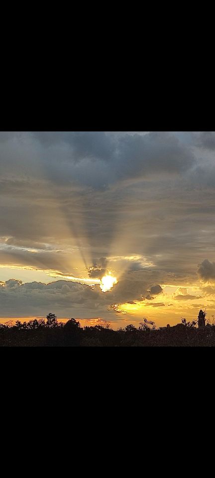 Mieszkanie 4-pokojowe Zabrze Rokitnica, Krakowska. Zdjęcie 20