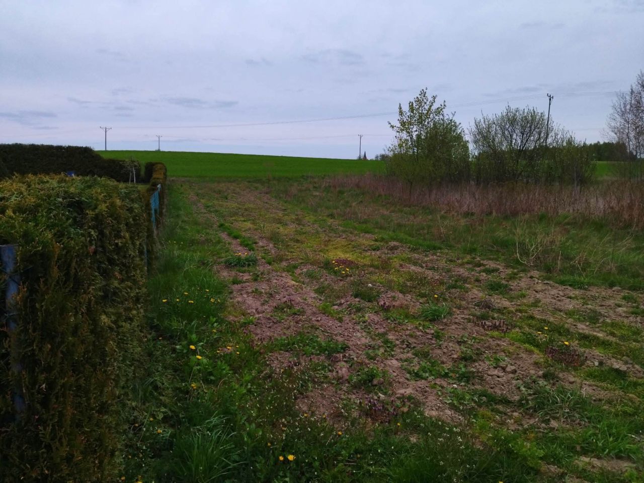 Działka budowlana Dźwierzuty, Dźwierzuty. Zdjęcie 14