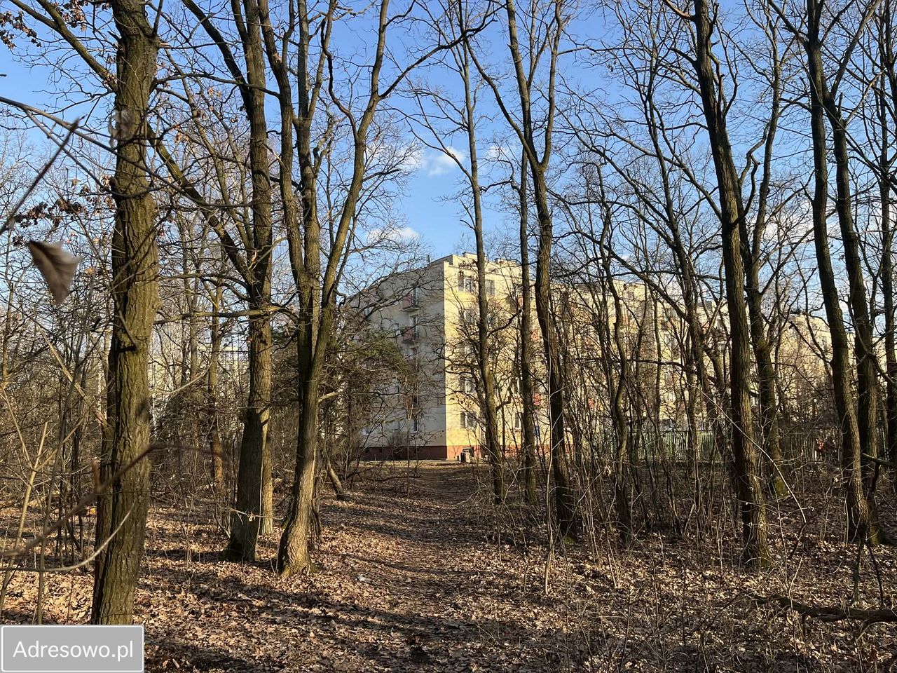 Mieszkanie 2-pokojowe Warszawa Marysin Wawerski, ul. Króla Maciusia. Zdjęcie 11