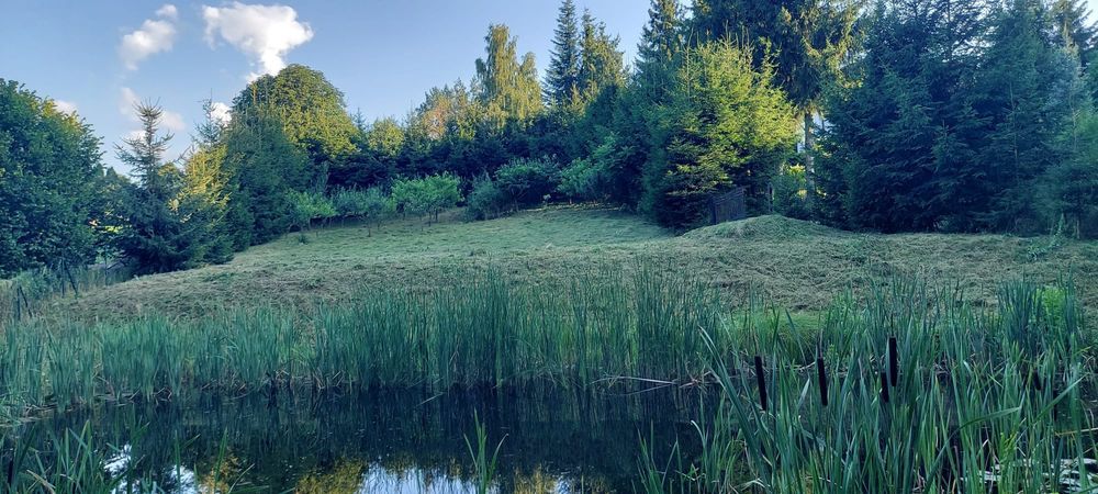 Działka budowlana Ruda. Zdjęcie 7