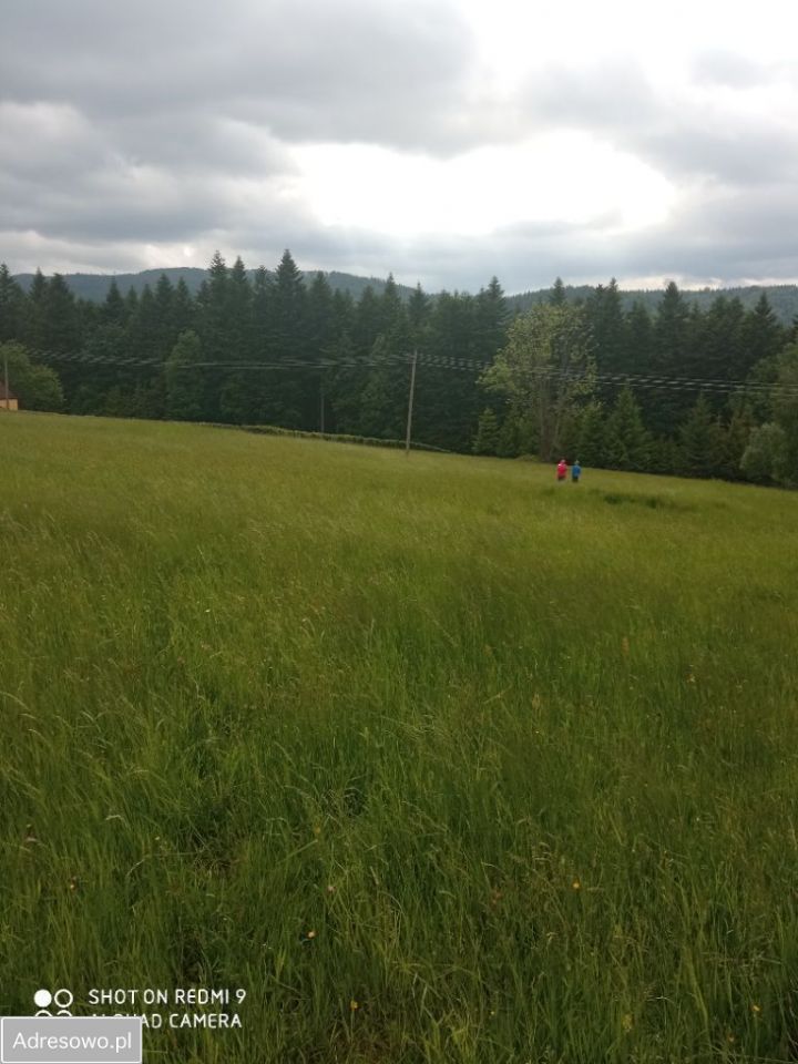 Działka rolno-budowlana Zawoja Błędna. Zdjęcie 3