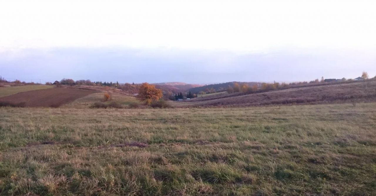 Działka rolno-budowlana Łazy. Zdjęcie 2