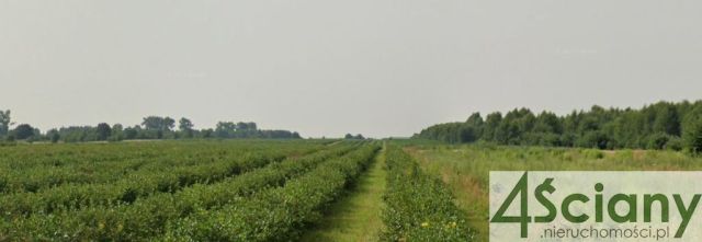 Działka rolna Stary Łajszczew. Zdjęcie 2