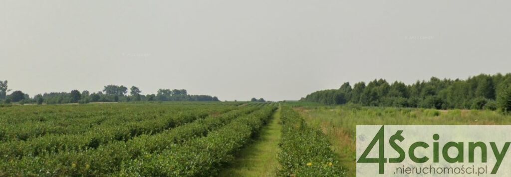 Działka rolna Stary Łajszczew. Zdjęcie 2