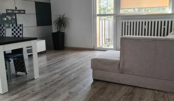 Mieszkanie 4-pokojowe Leszno