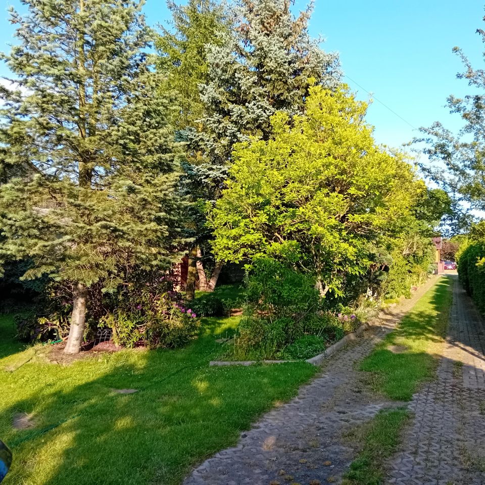 dom wolnostojący, 5 pokoi Grabina Radziwiłłowska, ul. Duża. Zdjęcie 13