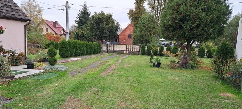 dom wolnostojący Gogołowice. Zdjęcie 6