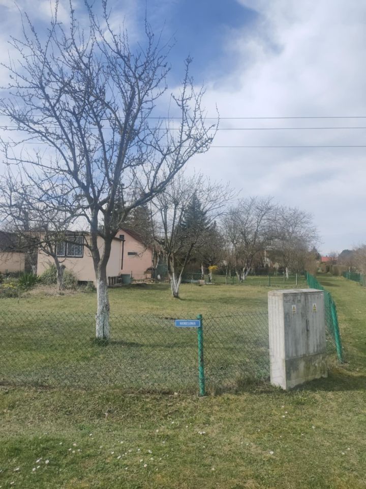 Działka rod Lubin Przylesie, ul. Józefa Piłsudskiego. Zdjęcie 3