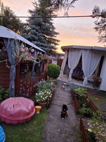 Działka rod Poznań Ławica, ul. Złotowska. Zdjęcie 1