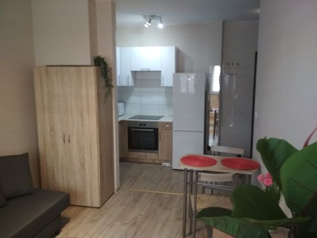 Mieszkanie 1-pokojowe Rzeszów Nowe Miasto, ul. prof. Stanisława Pigonia. Zdjęcie 1