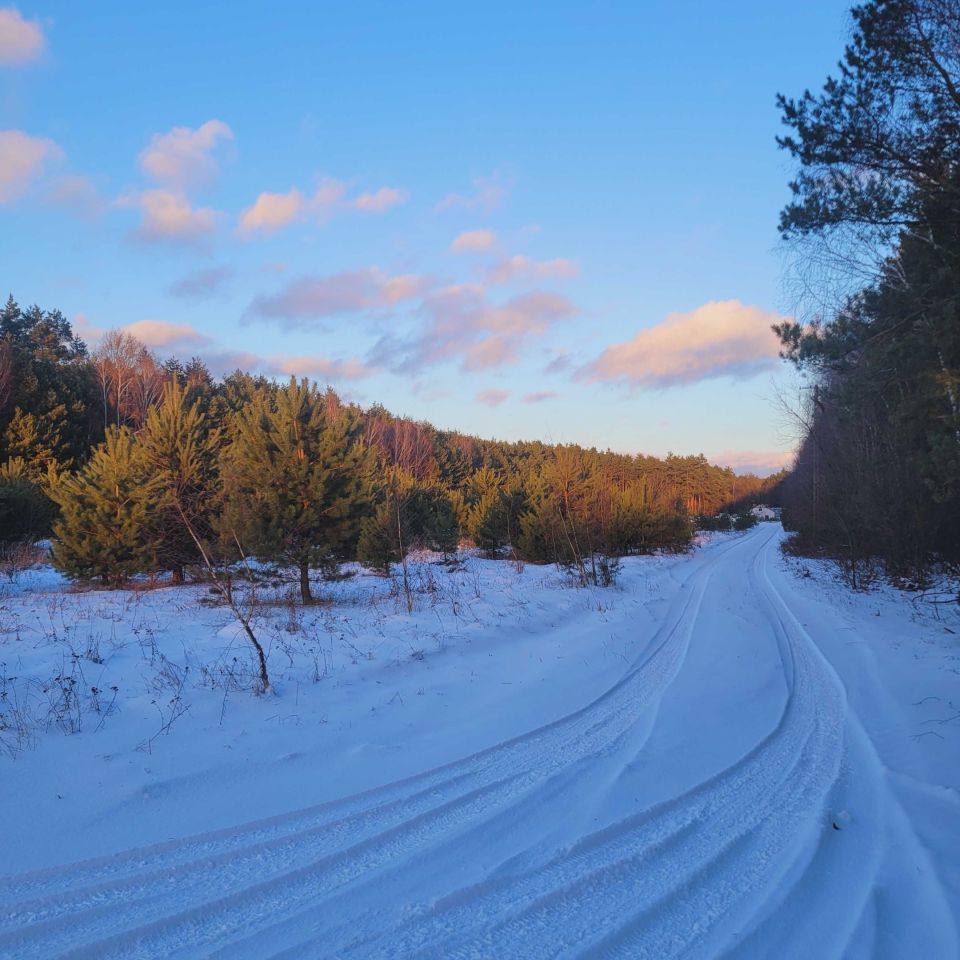 Działka budowlana Rokitnica. Zdjęcie 8