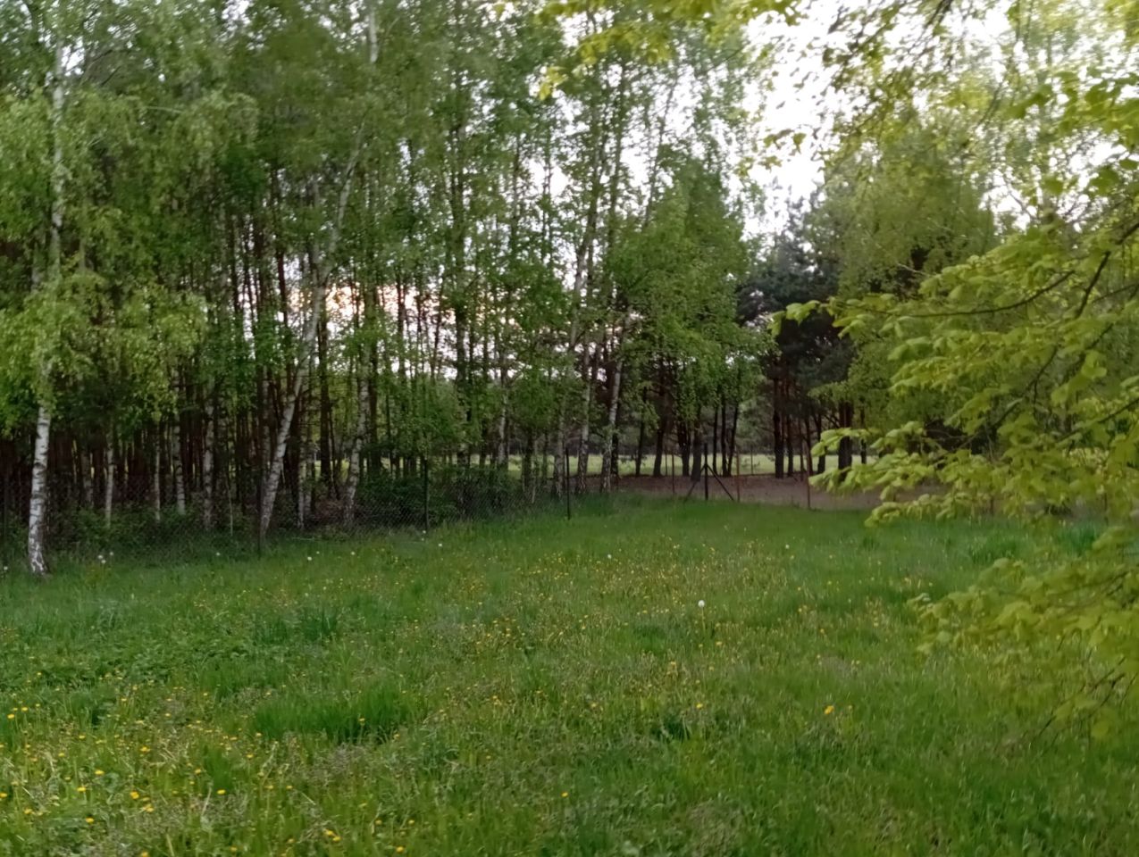 Działka rolno-budowlana Kazimierzów. Zdjęcie 4