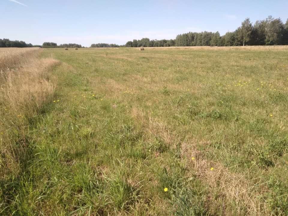 Działka budowlana Anielinek. Zdjęcie 2