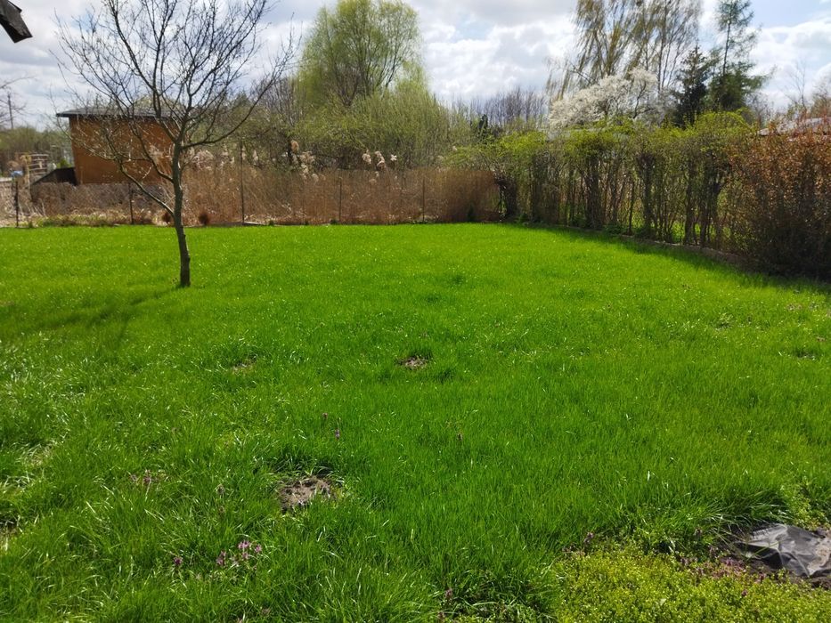 Działka rekreacyjna Warszawa Targówek, ul. Łodygowa