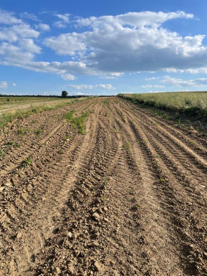 Działka siedliskowa Jaślików. Zdjęcie 6