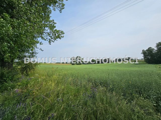 Działka rolna Gałkówek-Parcela. Zdjęcie 5