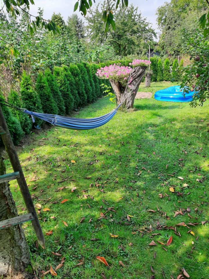 Działka rod Gliwice Stare Gliwice, ul. Kozłowska. Zdjęcie 6