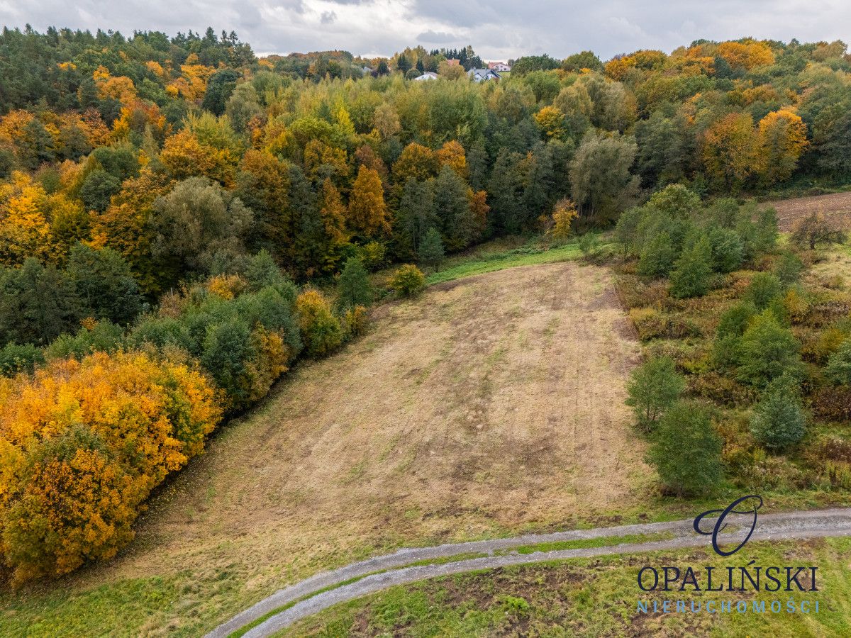 Działka inwestycyjna Rzeszów. Zdjęcie 12