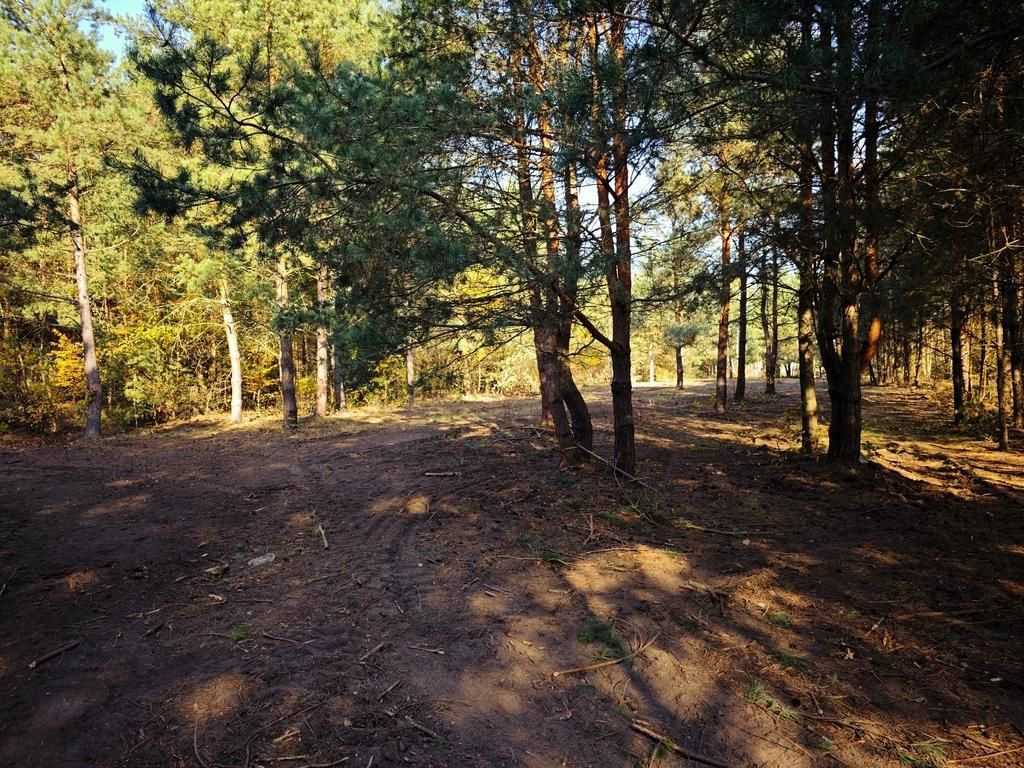 Działka budowlana Wierzchosławice Szujec. Zdjęcie 2