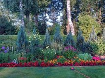 Działka rod Lubin. Zdjęcie 3