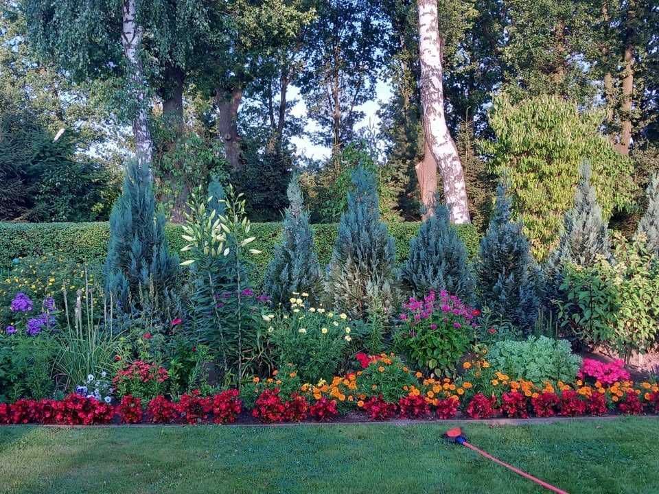 Działka rod Lubin. Zdjęcie 4