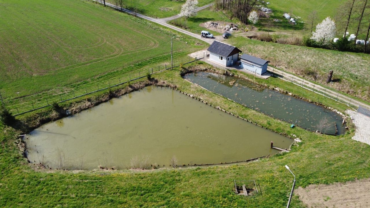 Działka rekreacyjna Kisielów. Zdjęcie 4