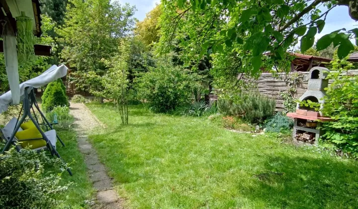 Działka rod Będzin Grodziec