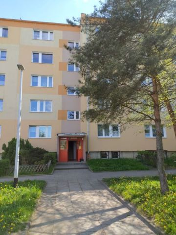Mieszkanie 2-pokojowe Gdańsk Chełm, ul. Władysława Cieszyńskiego. Zdjęcie 1