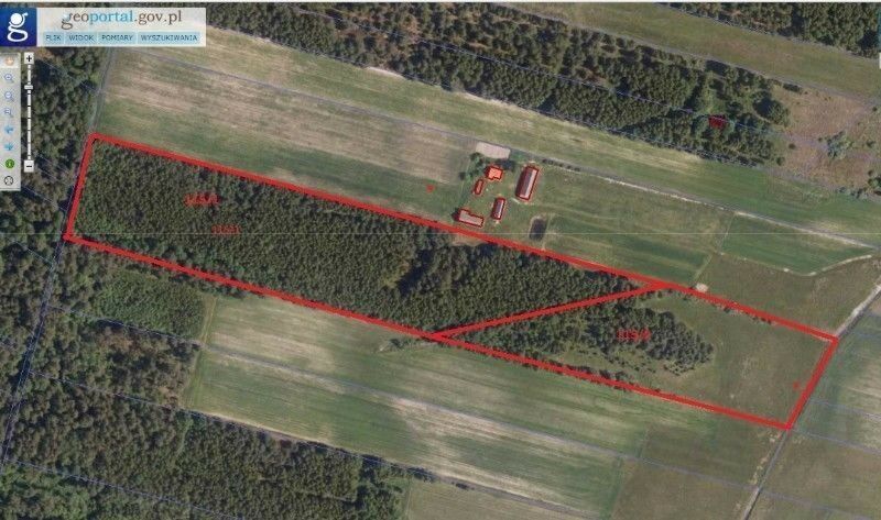 Działka leśna Koszoły. Zdjęcie 1