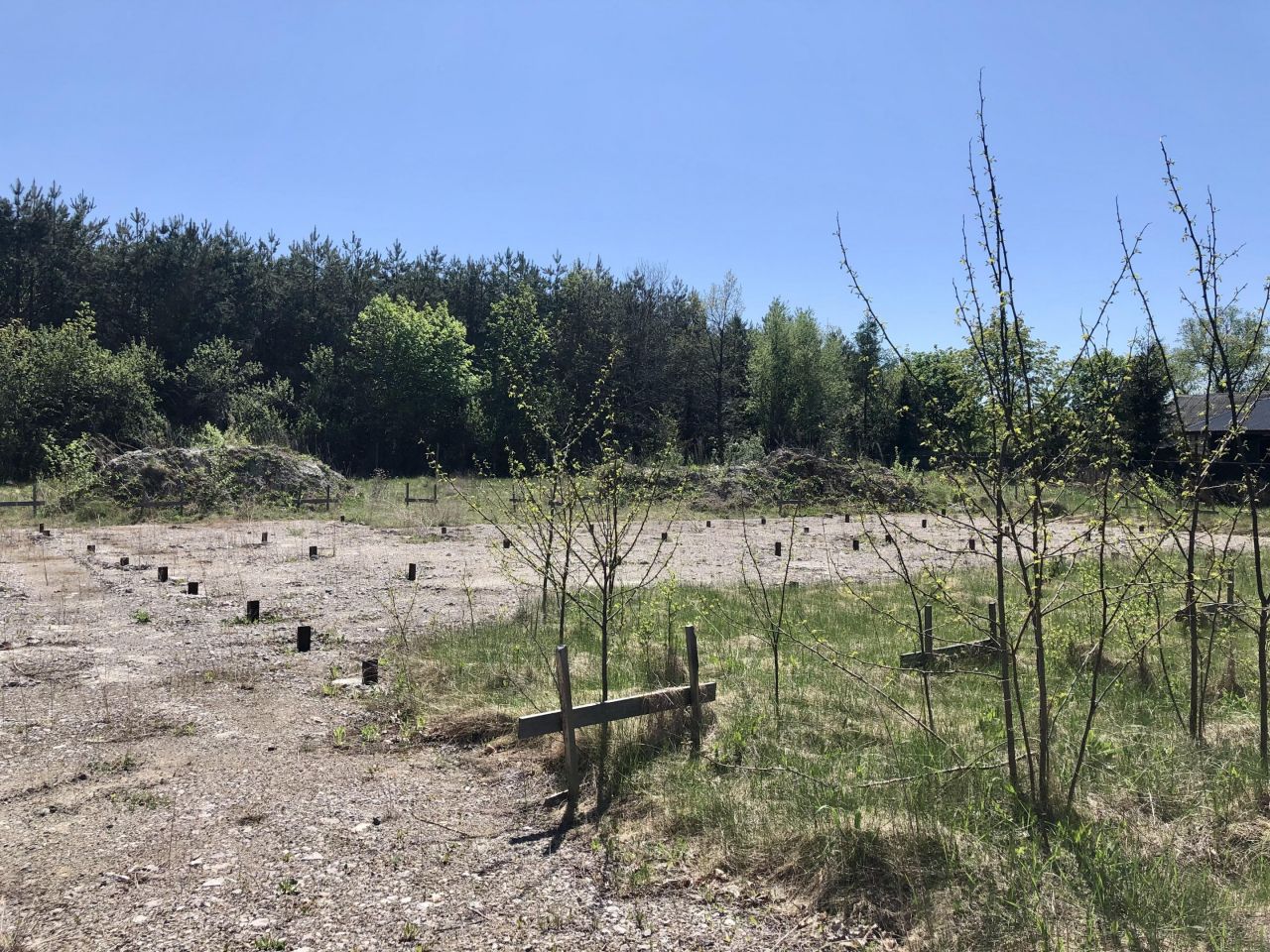 Działka rolna Ulów. Zdjęcie 2