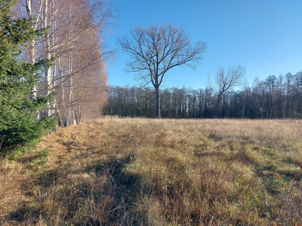 Działka rolno-budowlana Ładzin. Zdjęcie 3