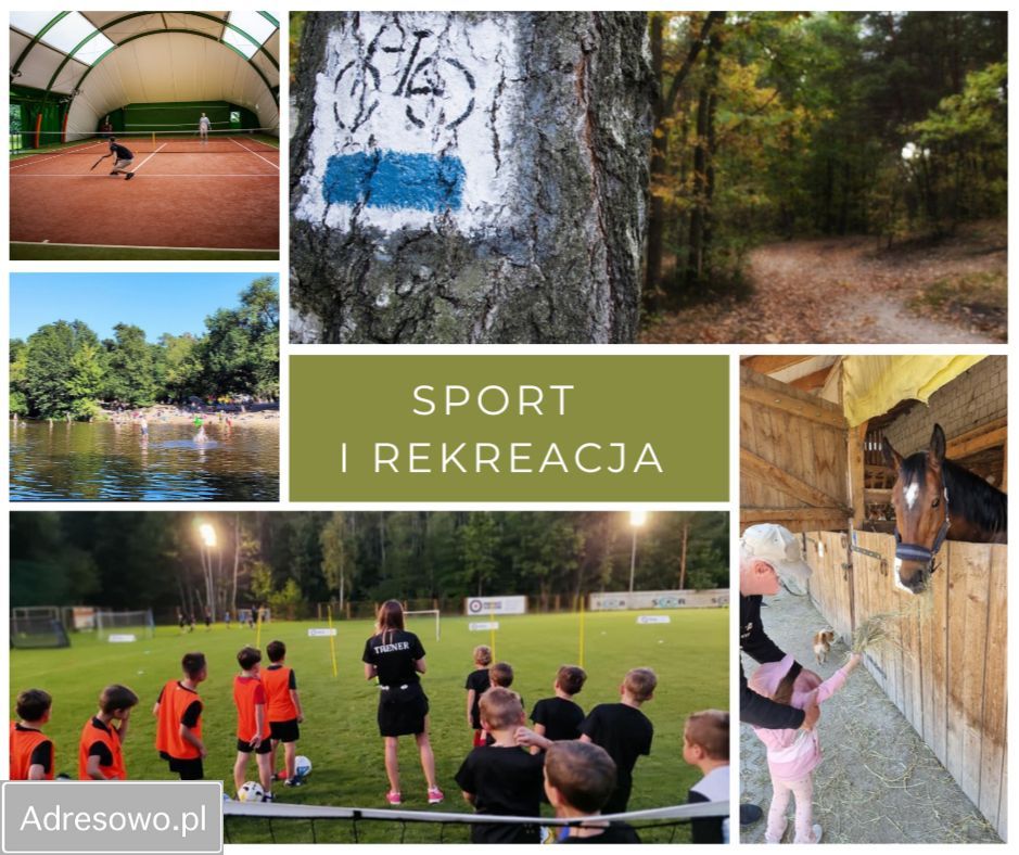 Działka budowlana Warszawa Falenica, ul. Celulozy. Zdjęcie 12