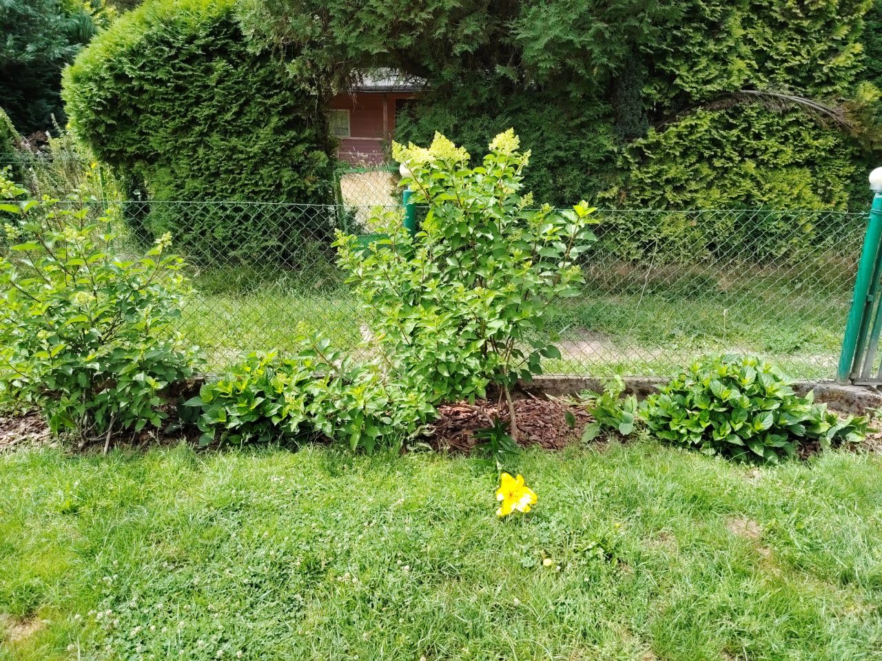 Działka rod Łódź Nowosolna, ul. Jana Kasprowicza. Zdjęcie 13