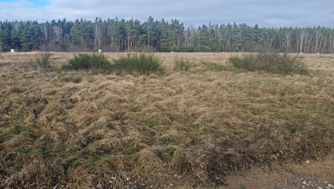 Działka budowlana Zimna Woda. Zdjęcie 14