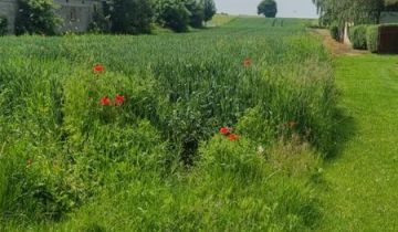 Działka budowlana Krzak