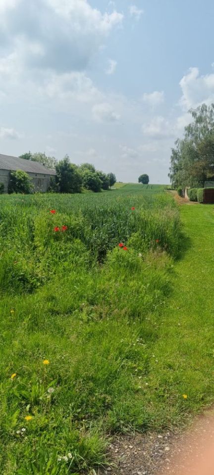 Działka budowlana Krzak. Zdjęcie 2