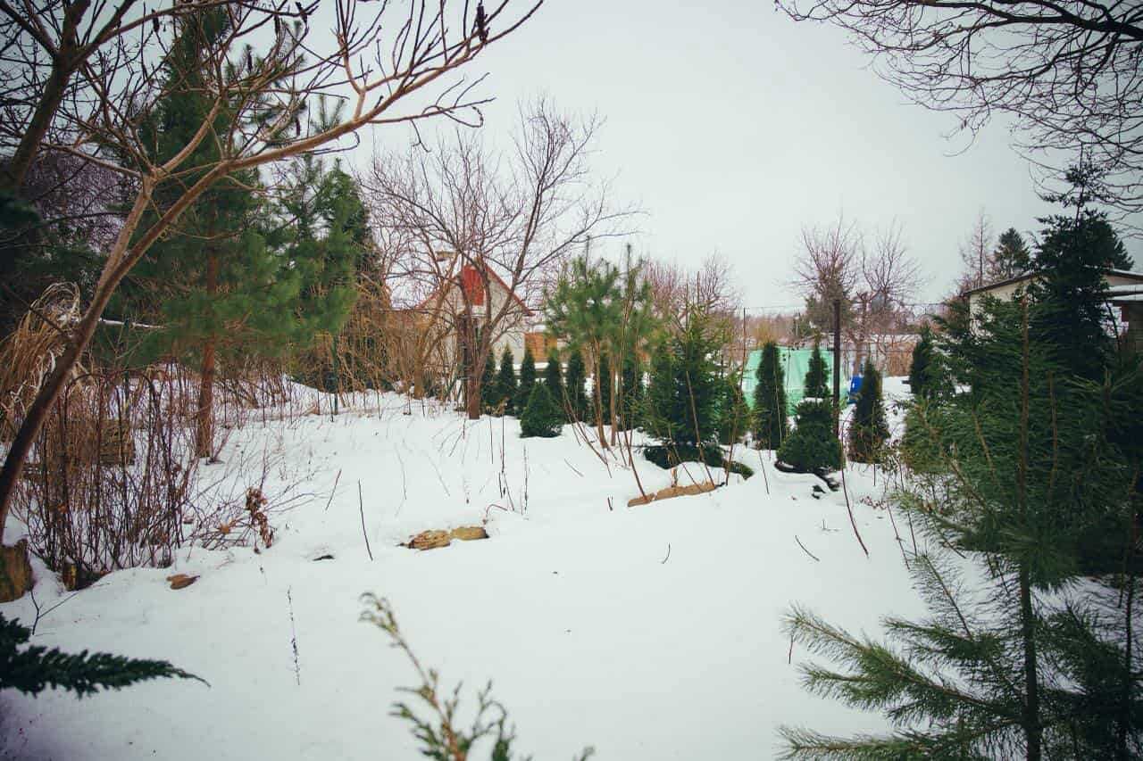 Działka rod Wejherowo, ul. mjr. Henryka Sucharskiego. Zdjęcie 4