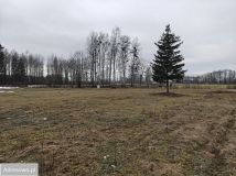 Działka rolno-budowlana Borki Rozowskie. Zdjęcie 4