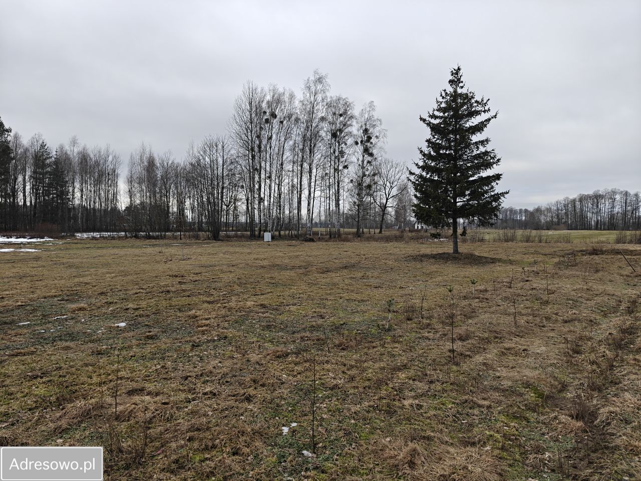 Działka rolno-budowlana Borki Rozowskie. Zdjęcie 5