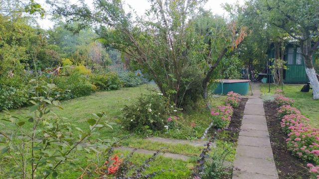 Działka rod Wrocław Krzyki, ul. Motylkowa. Zdjęcie 1