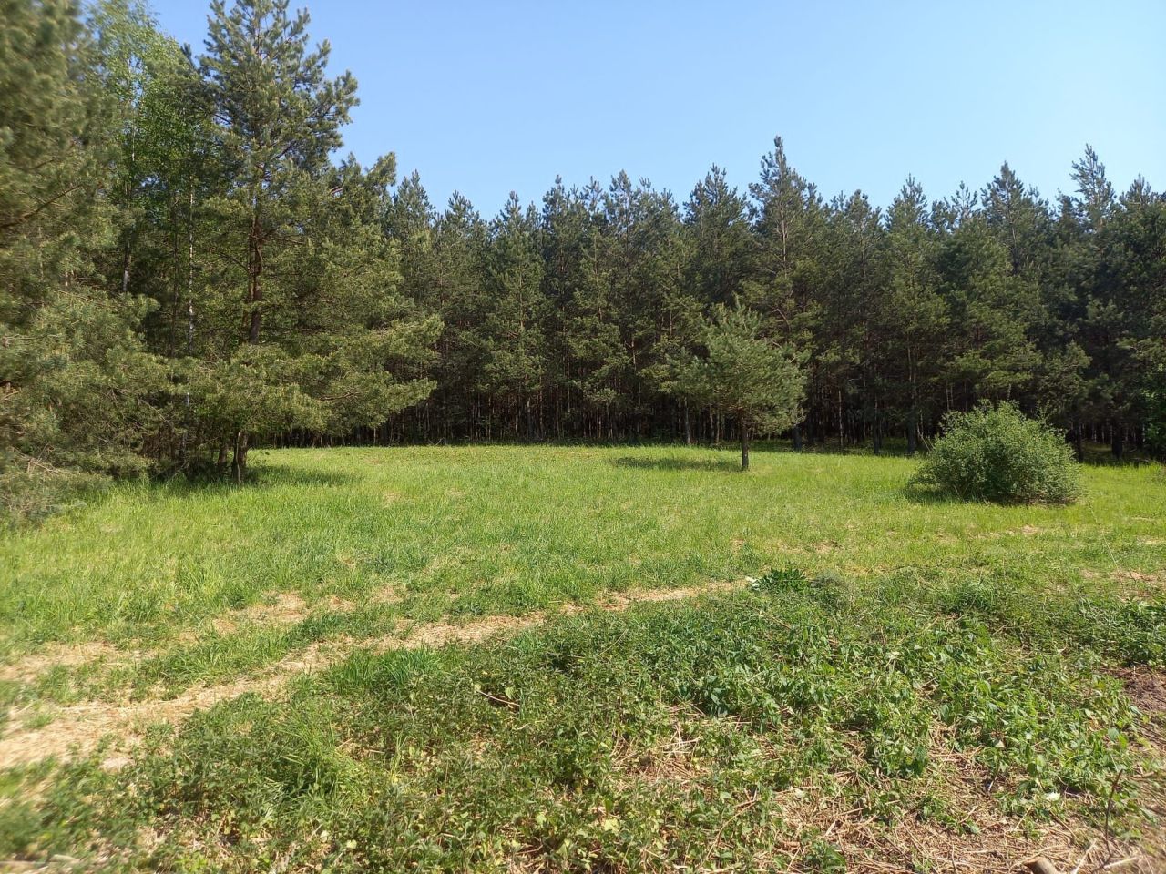 Działka siedliskowa Nowy Targ. Zdjęcie 7