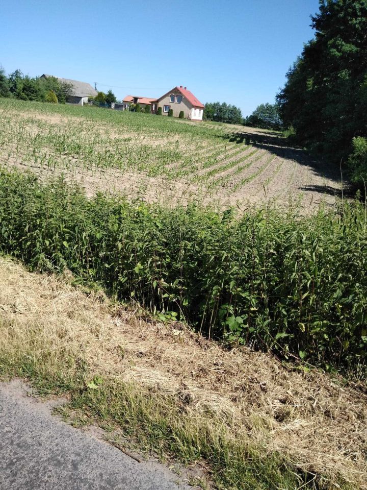 Działka rekreacyjna Kowalki. Zdjęcie 4