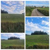 Działka budowlana Kosowo. Zdjęcie 1