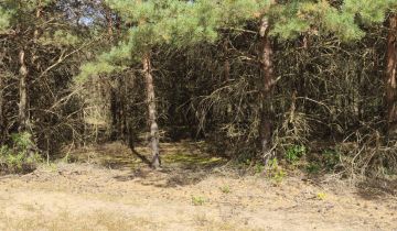 Działka rolna Ludwinowo