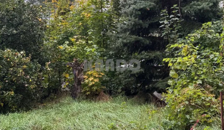 Mieszkanie 2-pokojowe Wrocław Śródmieście, ul. Adama Mickiewicza